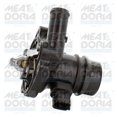 Thermostat, coolant